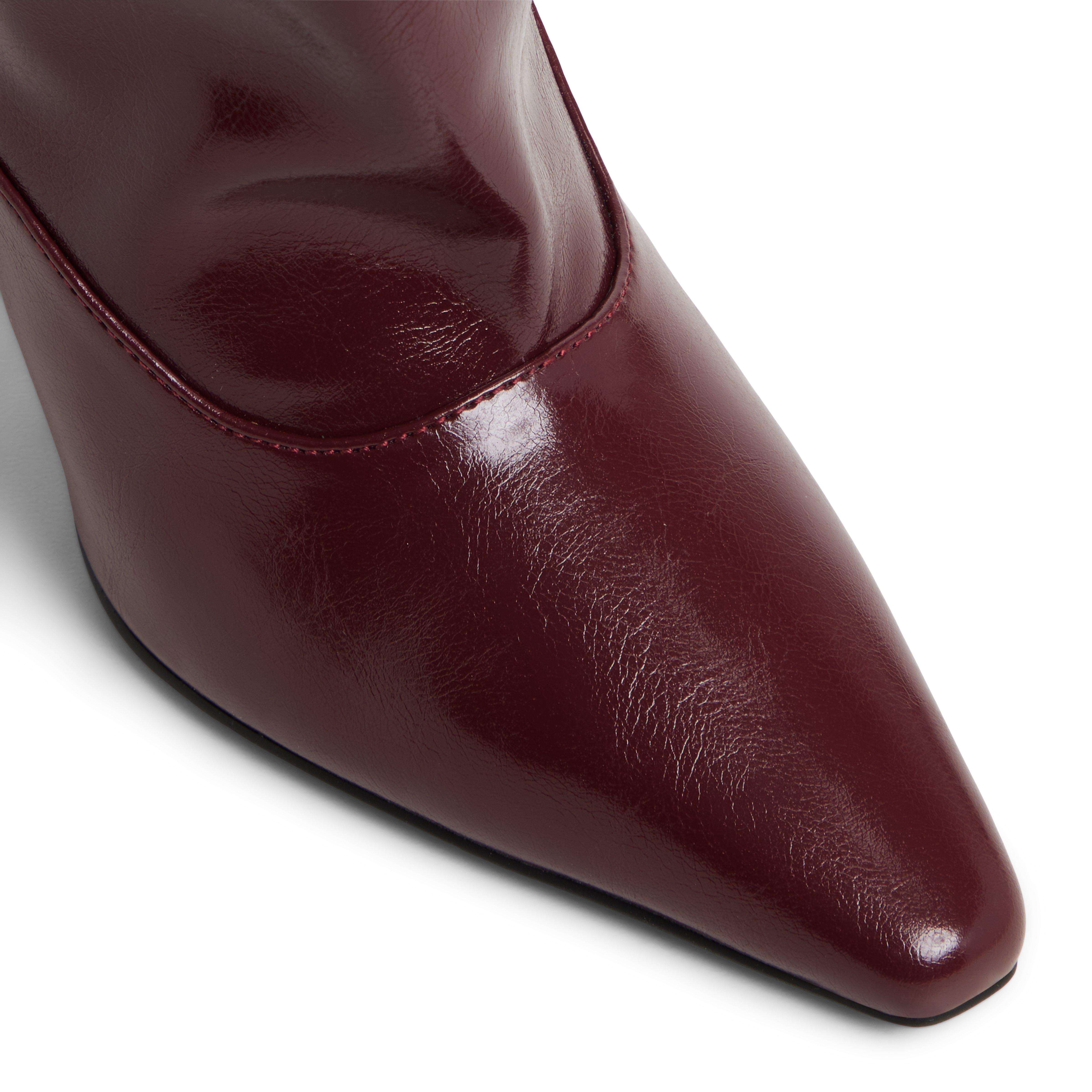 Charrlotte Bordo Women's Dress Boots