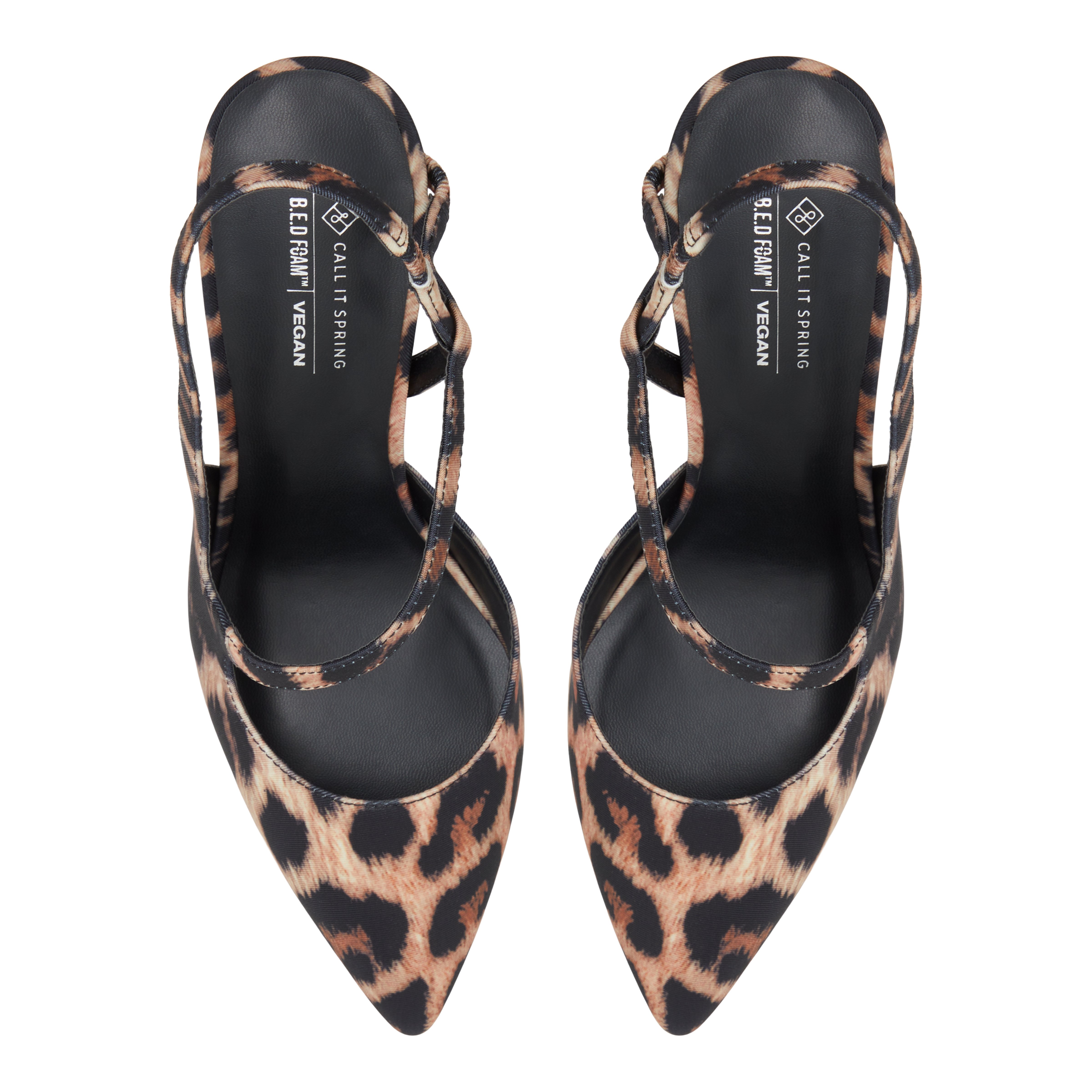 Miischa Brown Multi Women's Animal Print